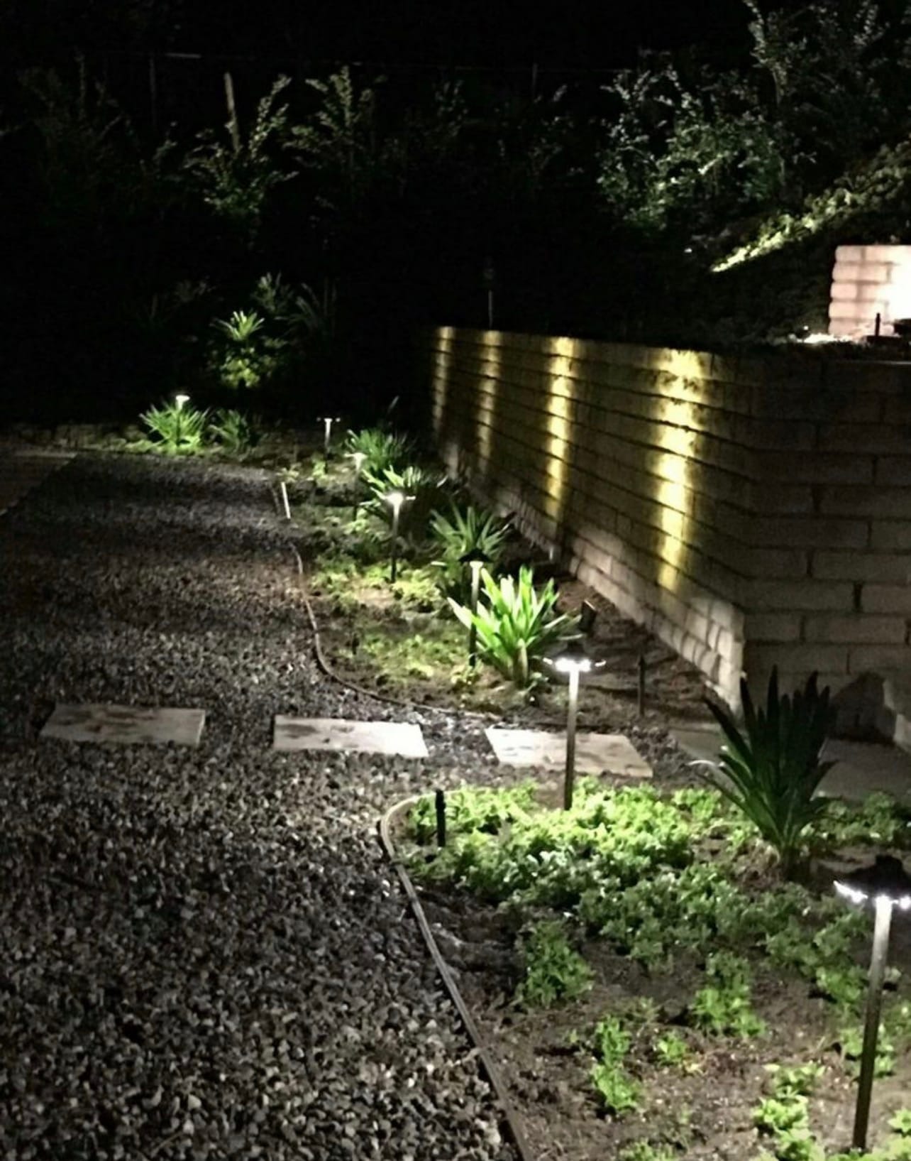 Low-voltage landscape path lighting along a garden bed