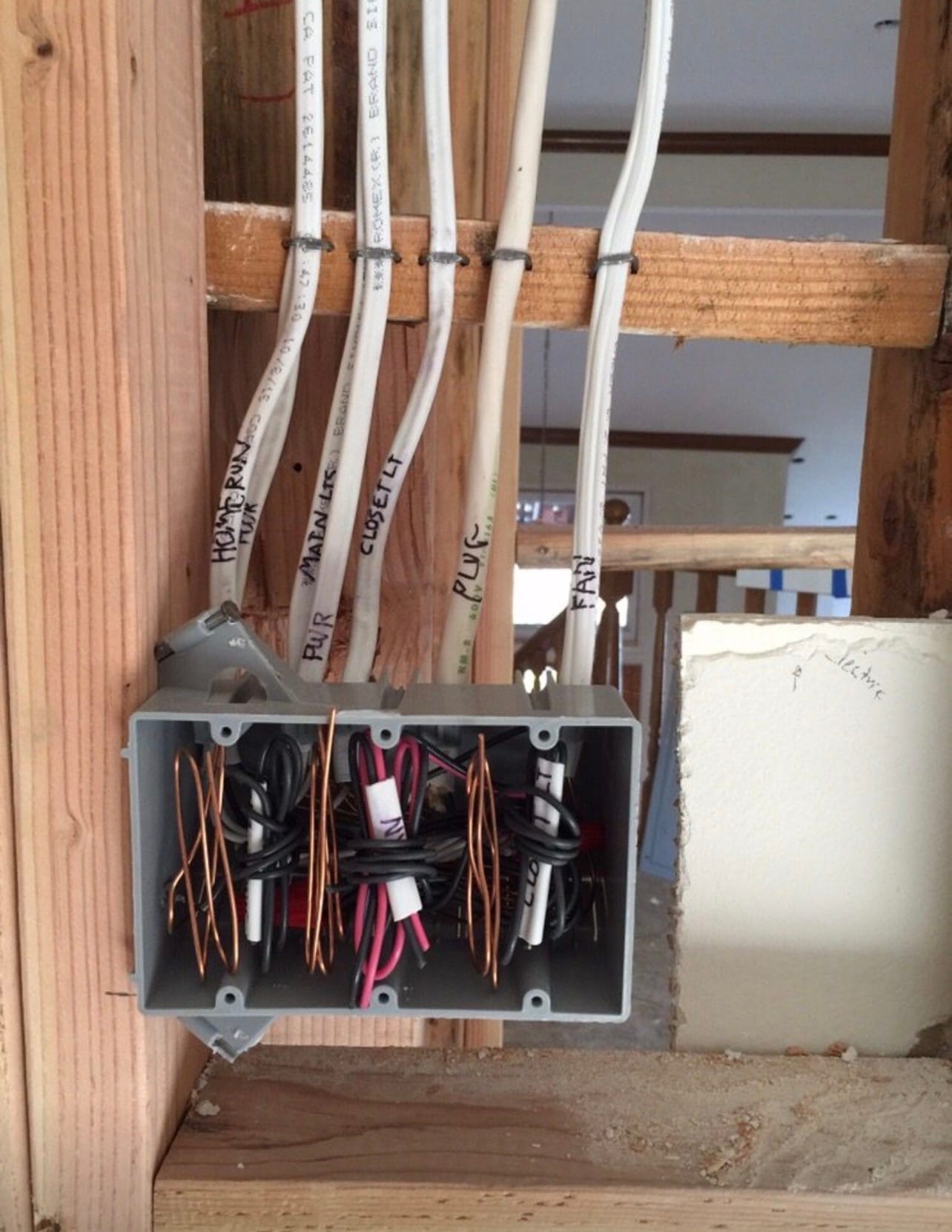 Labeled home-run wiring in an open stud wall